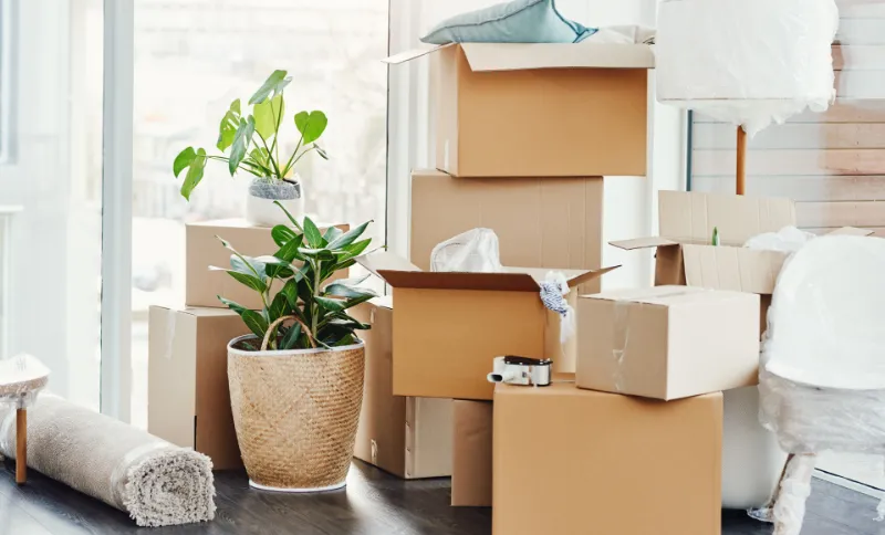 Personal Storage Units